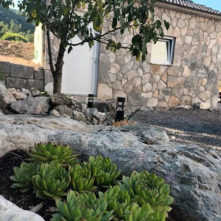 Magdalena Villa *